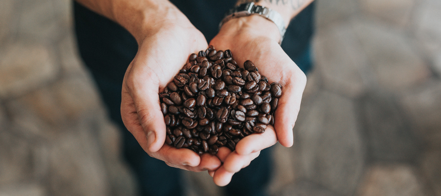 Someone holding a handful of coffee beans